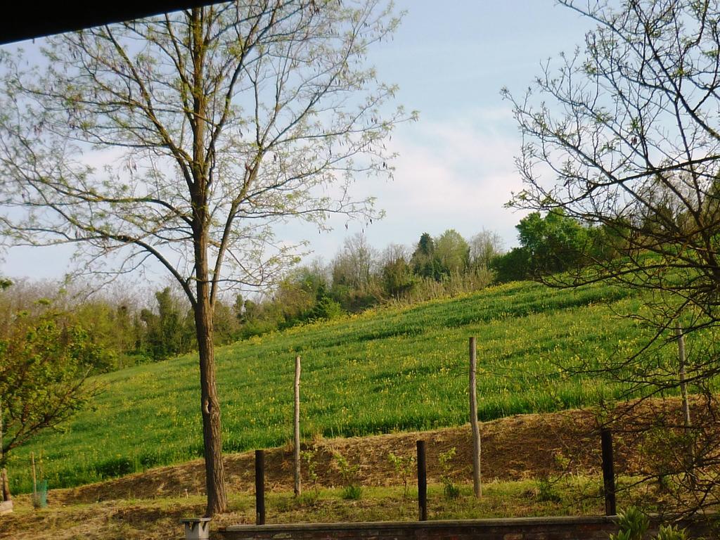 Bed And Breakfast Olimpia San Salvatore Monferrato Extérieur photo