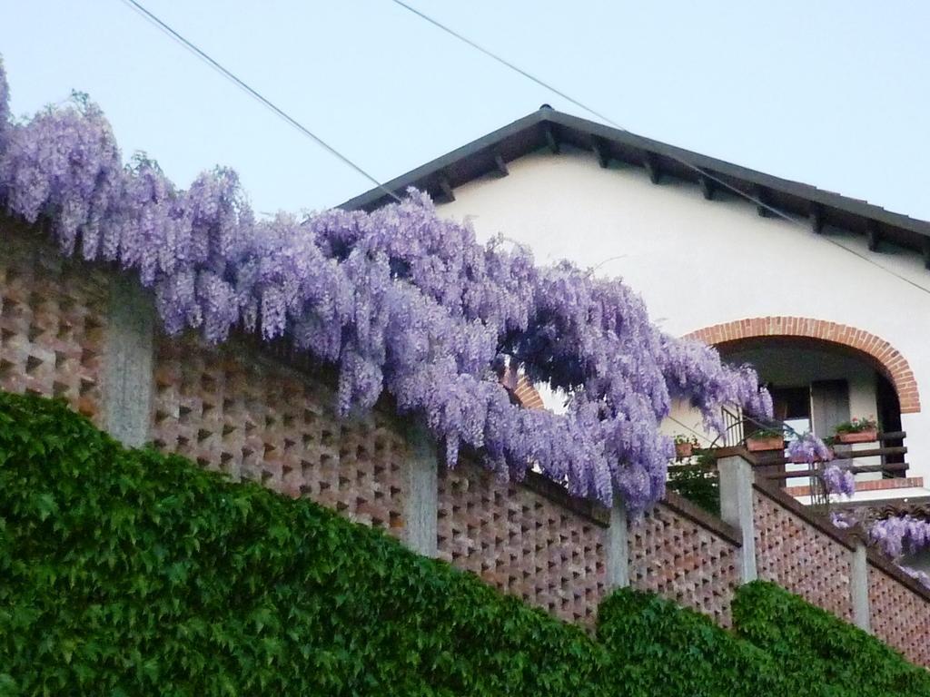 Bed And Breakfast Olimpia San Salvatore Monferrato Extérieur photo