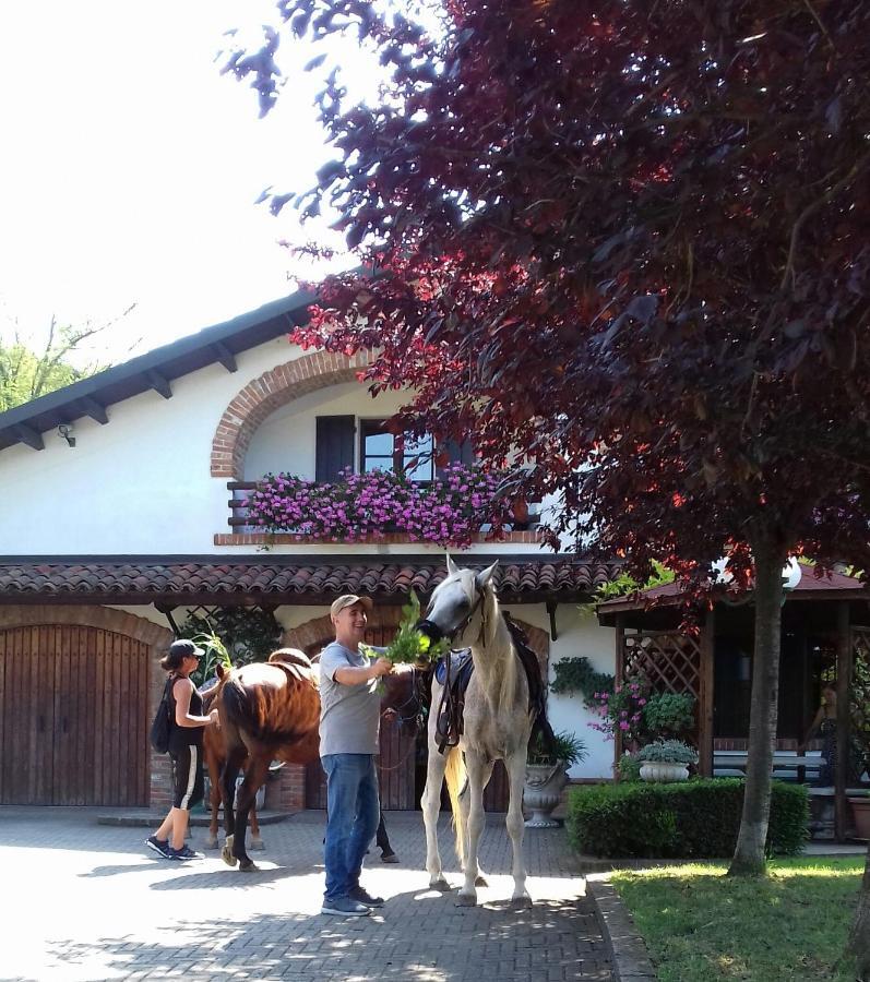 Bed And Breakfast Olimpia San Salvatore Monferrato Extérieur photo